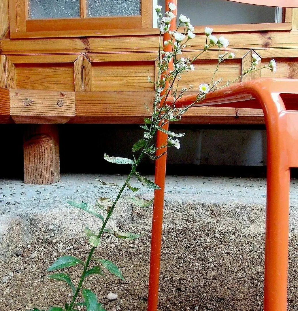 Hotel Kibi House Seúl 2*,